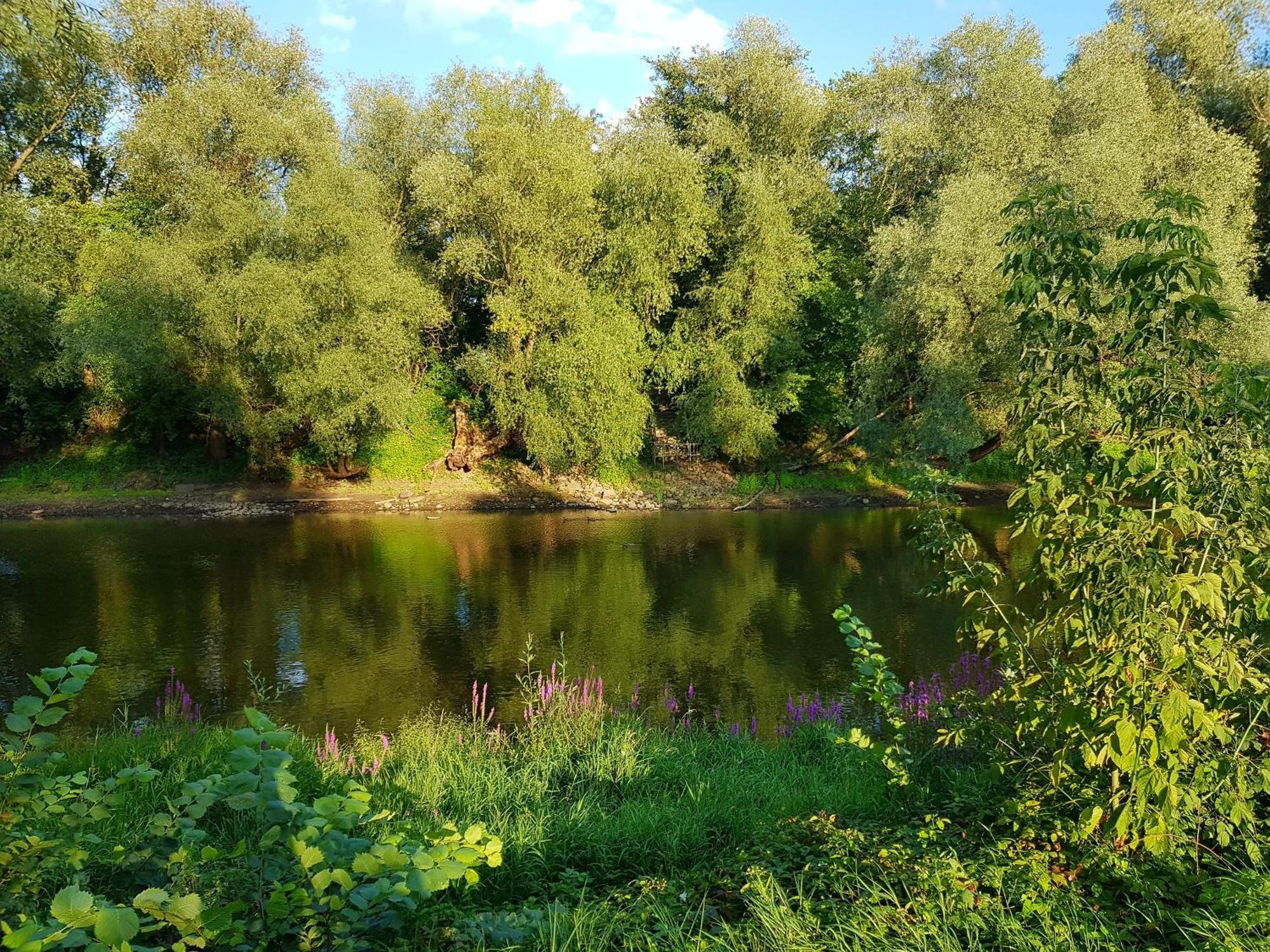فرانكفورت أودر Viadrina Rooms & Apartments Frankfurt-Oder Am Park Im Zentrum المظهر الخارجي الصورة