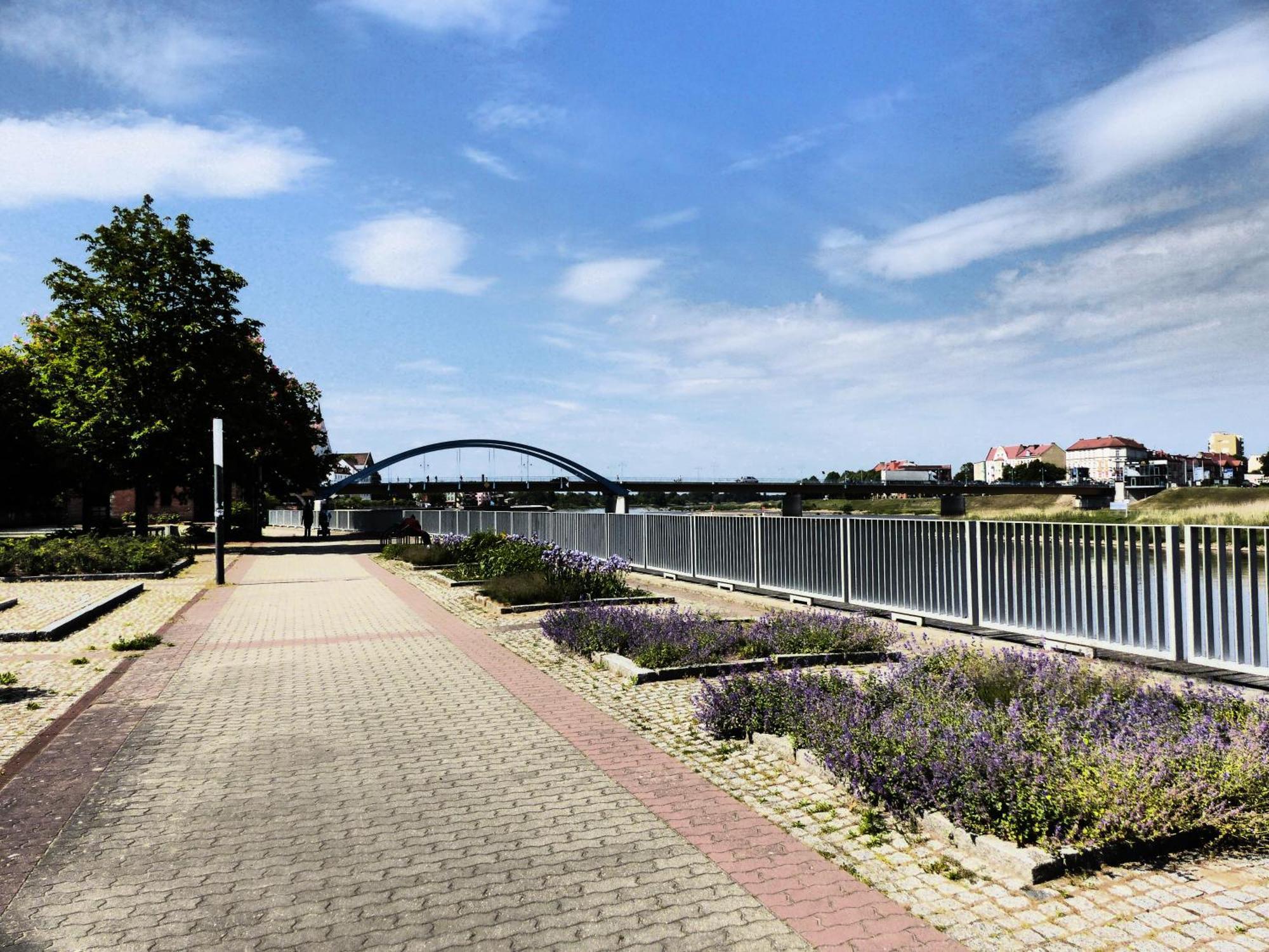 فرانكفورت أودر Viadrina Rooms & Apartments Frankfurt-Oder Am Park Im Zentrum المظهر الخارجي الصورة